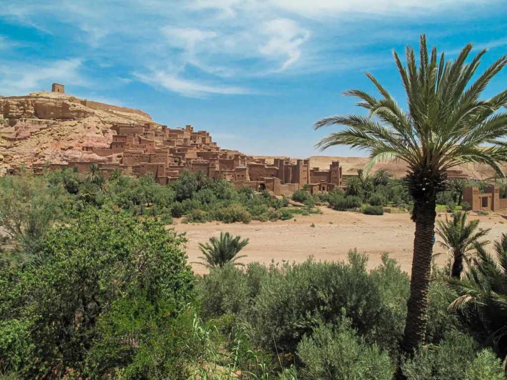 Active live morocco oasis