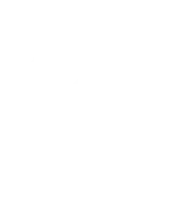 Mobile experts white